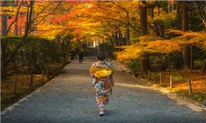 Nét đẹp Kimono Nhật Bản hấp dẫn du khách